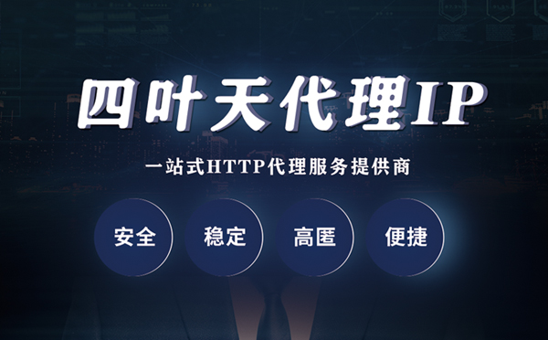 【烟台代理IP】代理ip客户端使用教程