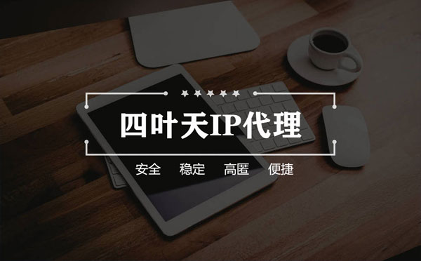 【烟台代理IP】如何快速搭建代理IP？怎么检查代理的效果？